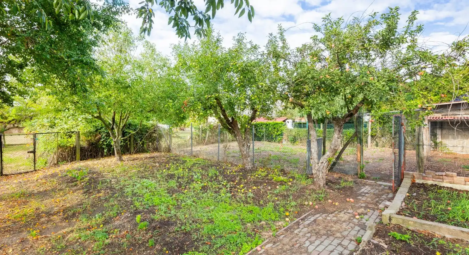Nutzgarten mit Obstbäumen auf dem Grundstück in Weichensdorf bei Friedland