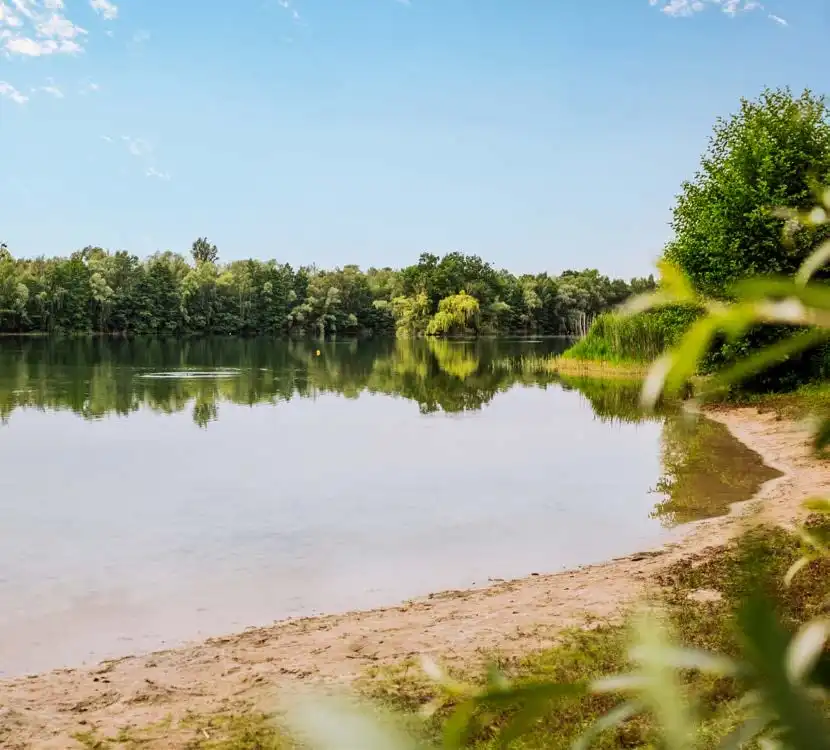 Badesee mit Sandstrand und Wald in der Umgebung von Brieselang