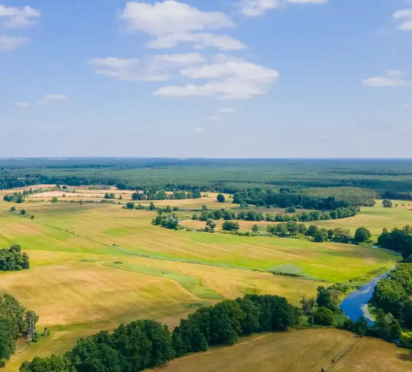Felder, Wald und Spree in der Umgebung von Spreewerder bei Grünheide