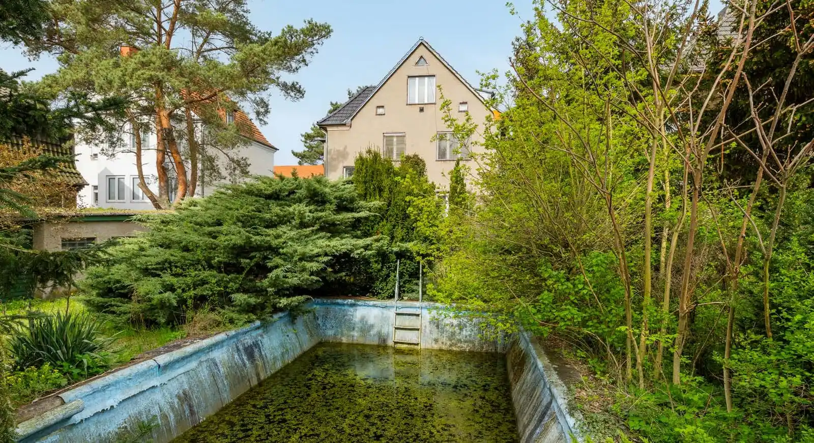 Altes Schwimmbecken im verwilderten Garten in Berlin-Köpenick