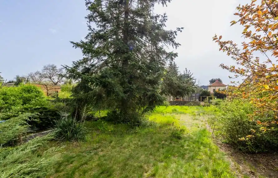 Garten mit hohen Nadelbäumen auf dem Grundstück in Berlin-Köpenick