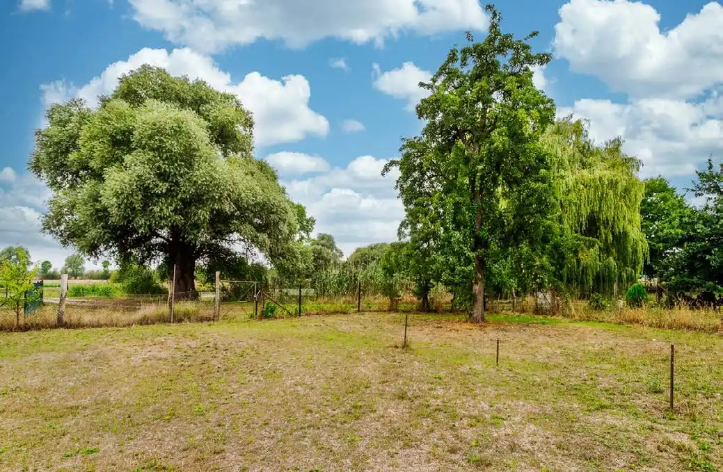 Wiese mit Weiden und Laubbäumen auf dem Grundstück des Dreiseitenhofs in Breddin