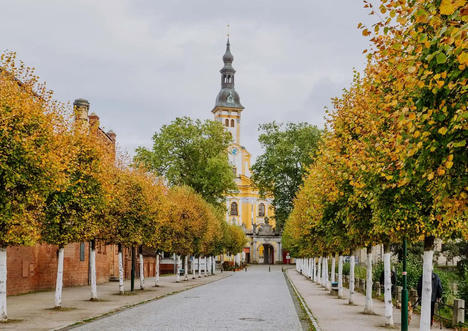 Allee mit Laubbäumen zum Kloster Neuzelle im Herbst
