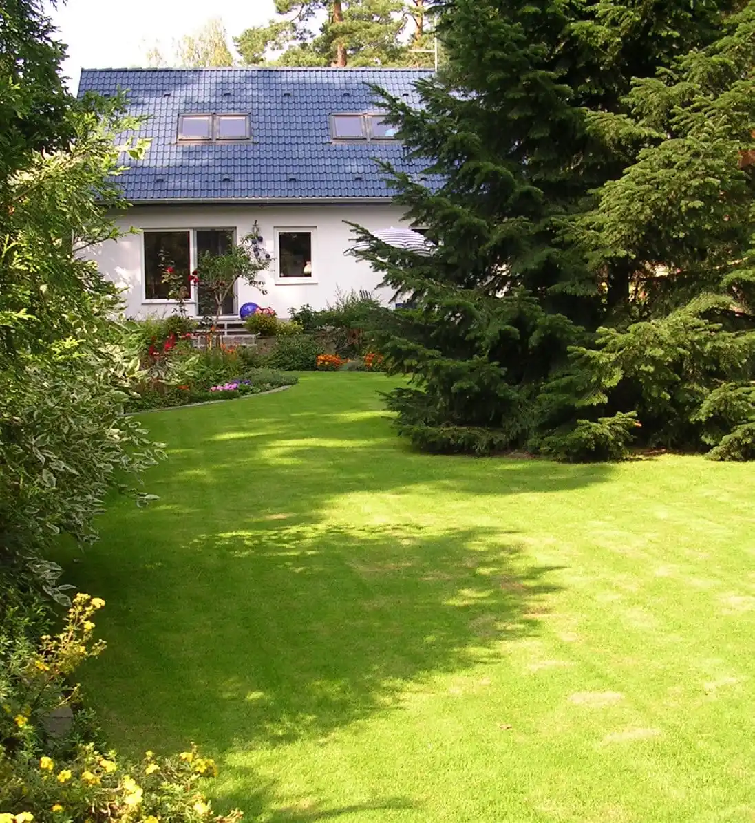 Rasenfläche mit Bäumen vor dem Einfamilienhaus in Wandlitz