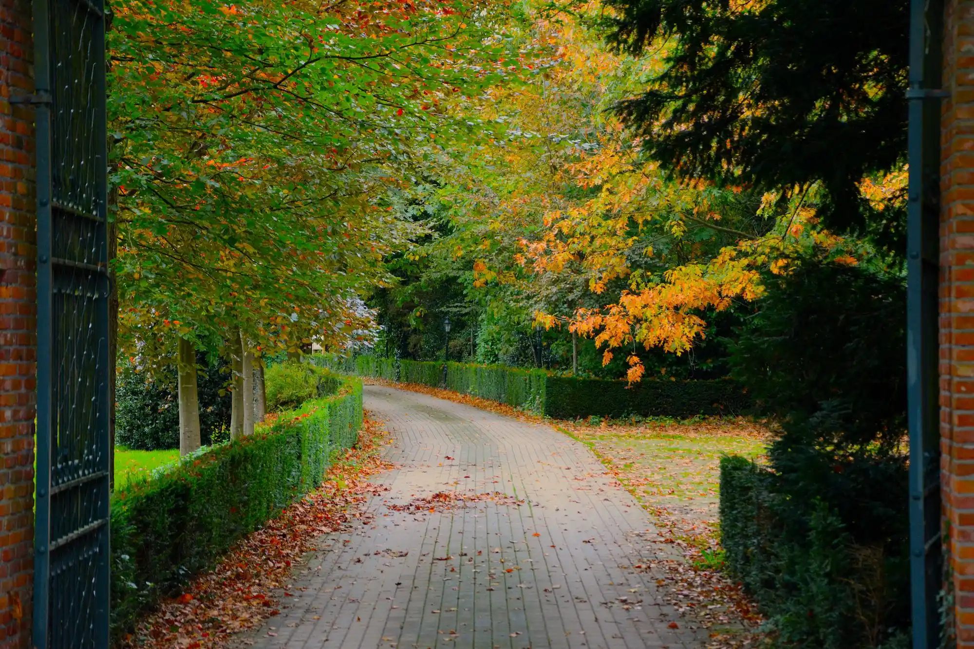 Gepflasterte Zufahrt hinter einem offenen Tor, herbstliche Bäume