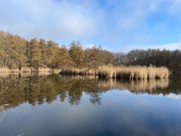 Panketal, Brandenburg, See